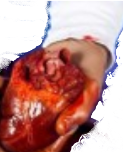 Franziskus - Papst der toten Herzen