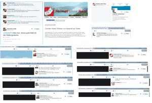 Schwarze Katze - Höbart - Pollak - Heimat ohne Hass - Twitter