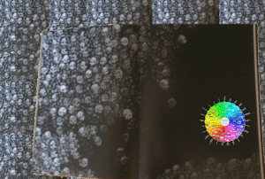 Krieg - Globale Kollaboration