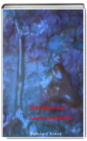 Roman en carte postale - BK