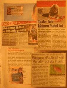 Österreich - Ein toter Pudel bekommt mehr Platz als sechszehntausend Kinder die täglich sterben