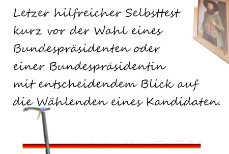 role models Wähler und Wählerinnen