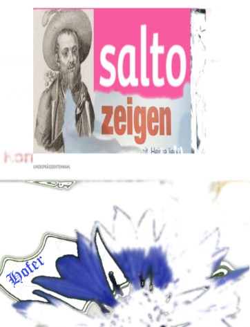 Hofer - Salto mit Flagge