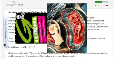 Ist das ein Wähler mit dem SIe sich identifizieren können