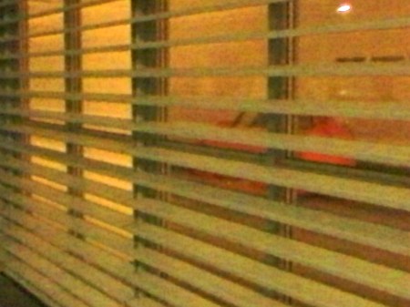 in-der-rasumofskygasse