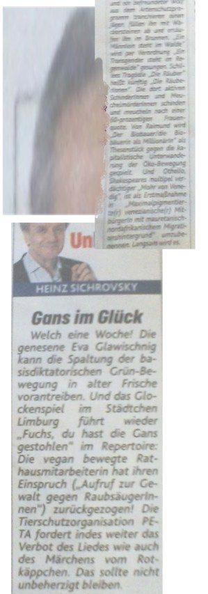 Sichrovsky Heinz - Vergessen