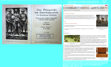 Austria Forum - Das Frankenburger Würfelspiel - Wiener Zeitung