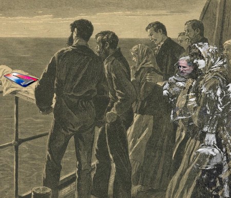 Apple - Steve Schieble