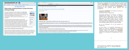 Cajetan-Feldeer-Insittut - FPÖ unzensuriert Trümmerfrauen deutsche lobby