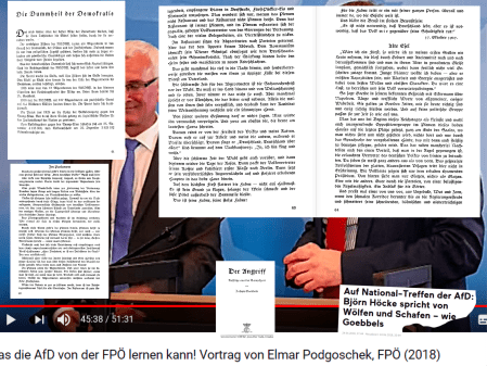 AfD - FPÖ.png