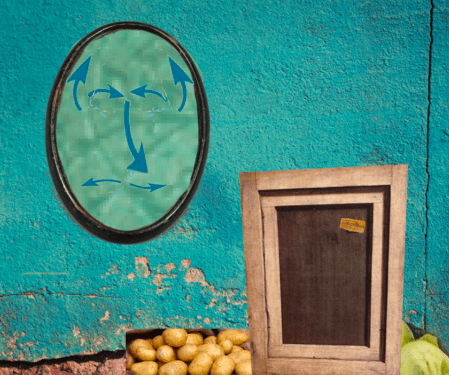 Österreich - Bildnis mit Kartoffel und Kraut