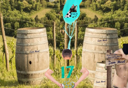 WM 2018 - Fußball - Live aus dem Hool Finger und Seeger