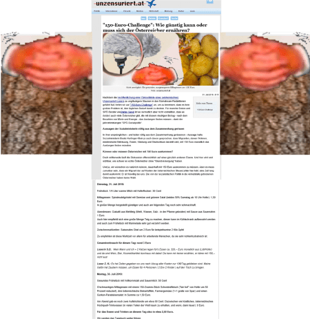 150 euro challenge - wie günstig kann oder muss sich der österreicher ernähren.png