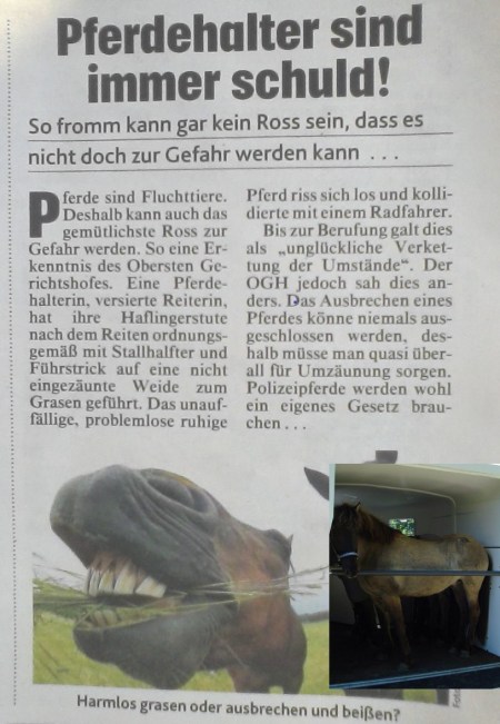 Pferdehalter sind immer schuld - Berittene Polizei