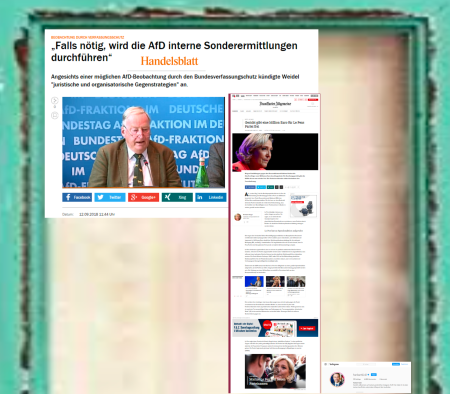 Pegida sagt Gauland Vorfeldorganissation der NPD