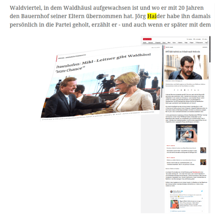 Salvini - Willkommen für Identitäre Regierungspartei Österreich